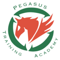 PegasusTA