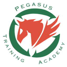 Pegasus Online Learning